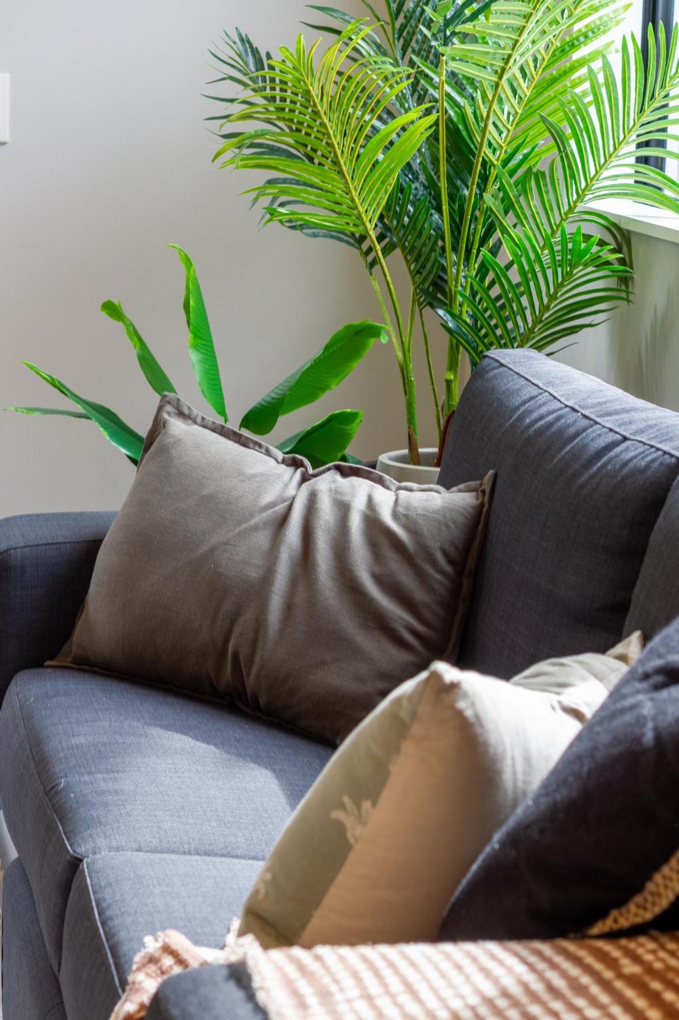 Latimer Square Luxe: 1Br W/ Sofa Bed 基督城 外观 照片